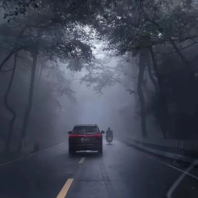 云南哀牢山楚雄州辖区：严禁擅自进入