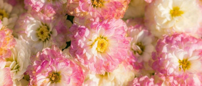 七言 | 眼里没你的人，你何必放心里