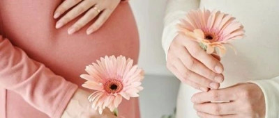 “妈妈，我敲了1000个肚子，才找到你”