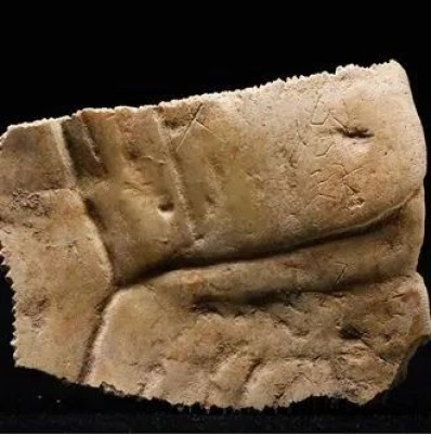 重大发现！首次出土有“秦人”字样甲骨