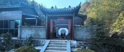 “药王谷抗癌中心调查”事件，武当山通报