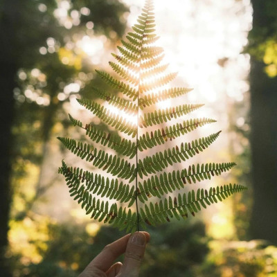人生建议：不要长期待在卧室