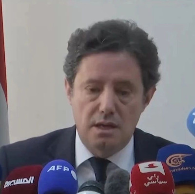 黎方向联合国提出控告