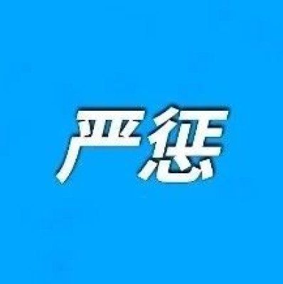 张某某，两年内不能升学报考、录取为公务员……