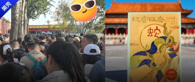 一本难求！年轻人排队5小时买个故宫日历，图什么？