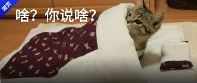 谁能告诉我这个是什么啊？密密麻麻爬满了我的床