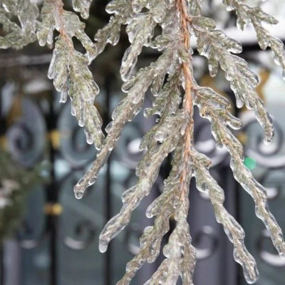 中央气象台发布蓝色大风预警：较强冷空气将影响我国