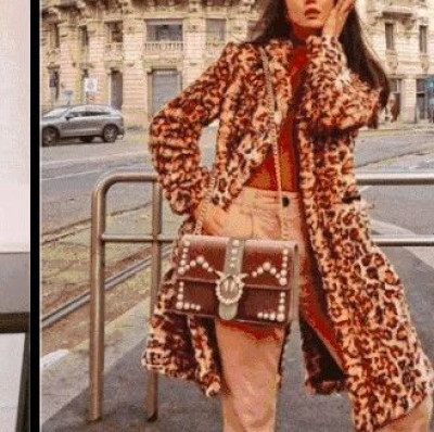 最近都在问的燕子包