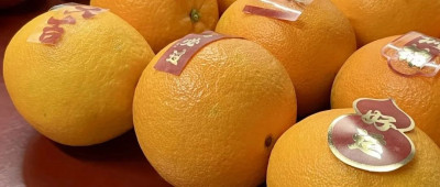 考个研而已，学校怎么把钱“怼”我卡里？