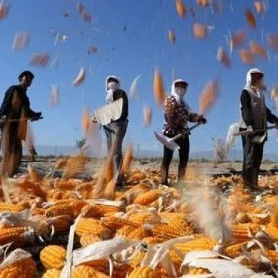 从舟曲涅槃看西部振兴