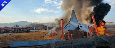 韩国客机着火179人遇难，惨剧的关键可能不是鸟