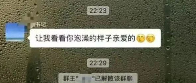 乡镇书记在工作群发布不雅言论，官方通报