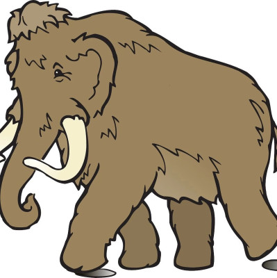 保存如此完好的猛犸象冻干，让科学家得以组装猛犸象染色体