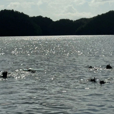 9名失联中国公民全部获救