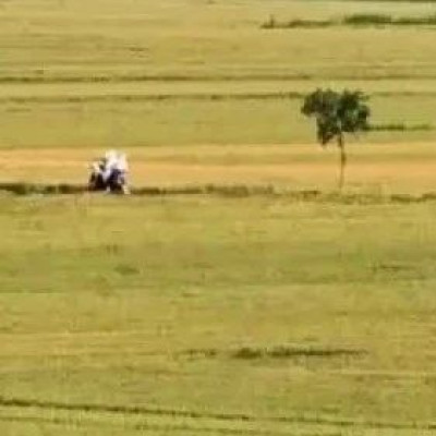 “种完麦子，我就往南走”