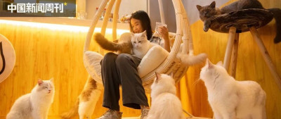 这座一线城市，“押宝”宠物经济