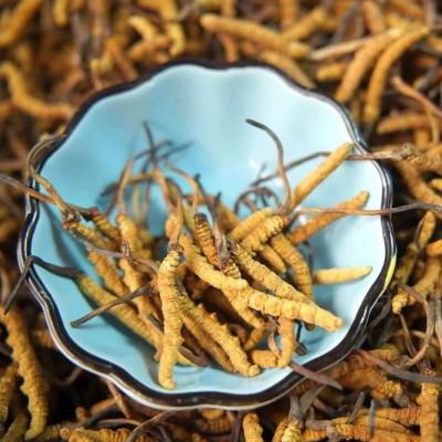 太过分！“天价虫草”市场原来这个样子