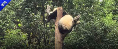 家人们谁懂啊，诺奖得主跟我合影了！