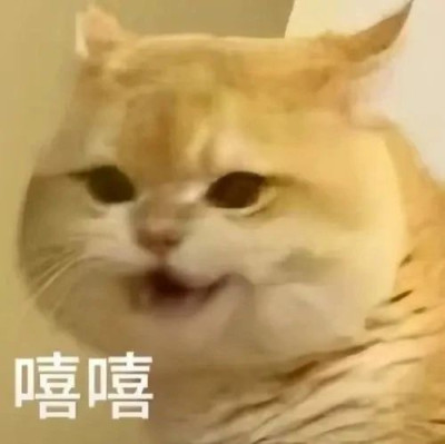 一代人有一代人的“破烂”：我的小众收藏