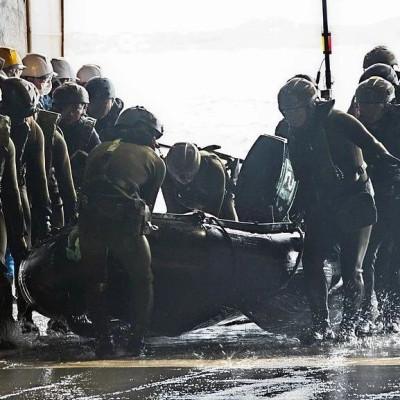 4.5万人！日美将在俄边境附近军演