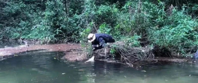 别去！哀牢山最诡异的一幕出现了，根本不是跟在颜料师身后的熊……