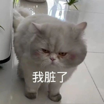 冬天不能每天洗澡真不是人脏，而是因为……