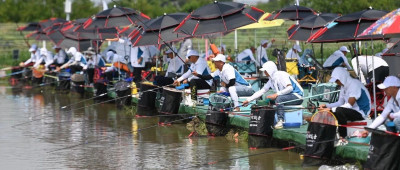 年轻人怎么纷纷加入了钓鱼大军？