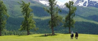 重新打量今天的西部！