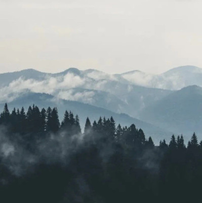 第一批闯入哀牢山的博主们，已经翻车了