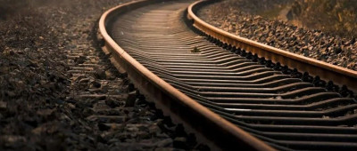 南京每平方公里野猪超4头，“冲撞高铁”事故如何避免？