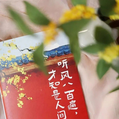 听风八百遍，才知是人间