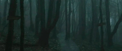 浓雾弥漫、指南针失灵，神秘的哀牢山深处到底有什么？