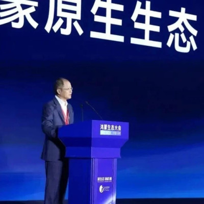 华为Mate 70搭载“纯血鸿蒙”，万物交融再进一步