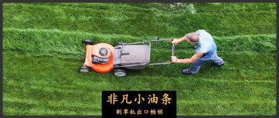 中国割草机，收割外国韭菜