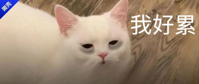 为什么我们执着于食补，却不愿意相信维生素？