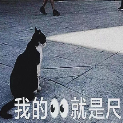 速来！一个简单省钱不伤牙的白牙小技巧（建议收藏）