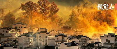 11月，她全网刷屏了