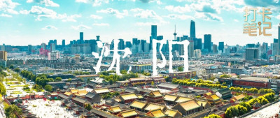 「 沈 阳 」 你 果 然 很 超 前 ！