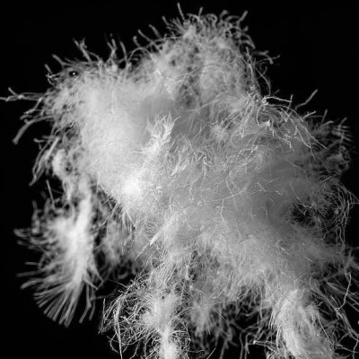 羽绒服涨价与猪肉价格有关，有指数显示→