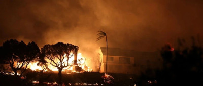 最新：洛杉矶山火致至少11人死亡