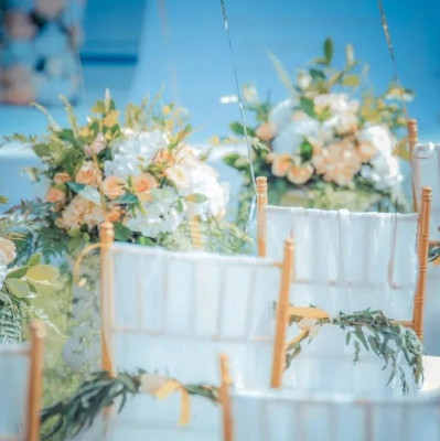 全国首个婚姻本科专业，都学啥？