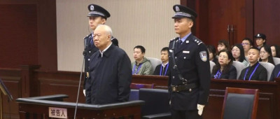 王雪峰被判有期徒刑十八年