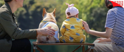 中国宠物数量大过婴幼儿？1亿家庭进入“猫狗富养时代”