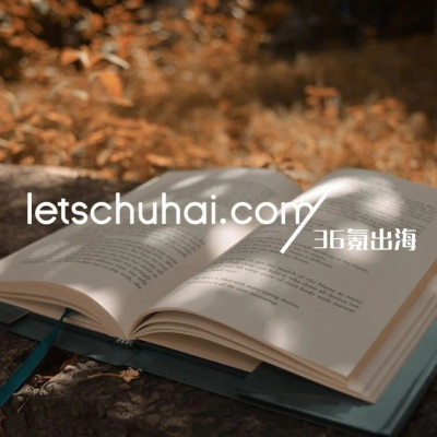 美团小象超市、无人机业务出海中东；特朗普会见TikTok CEO周受资｜36氪出海·要闻回顾