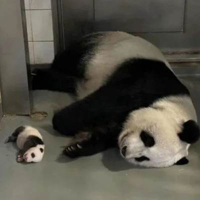 新鲜出炉！《中国百城海外影响力月度分析报告》