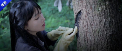 让李子柒严重过敏的物质，是你买不到带壳腰果的原因