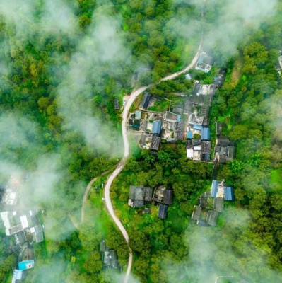 来自十八线小县城的核桃，为什么火了？