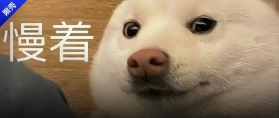 动辄大几千，还火得一塌糊涂的大路灯到底谁在买？