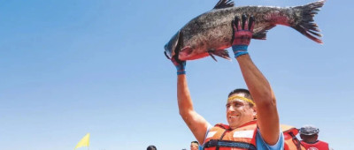 阿勒泰的螃蟹、阿克苏的南美白对虾……新疆也能养“海鲜”！