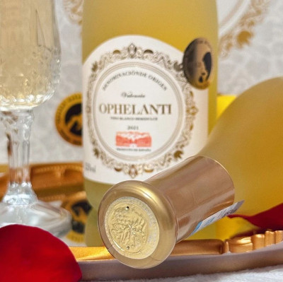 一瓶难求，懂的都懂